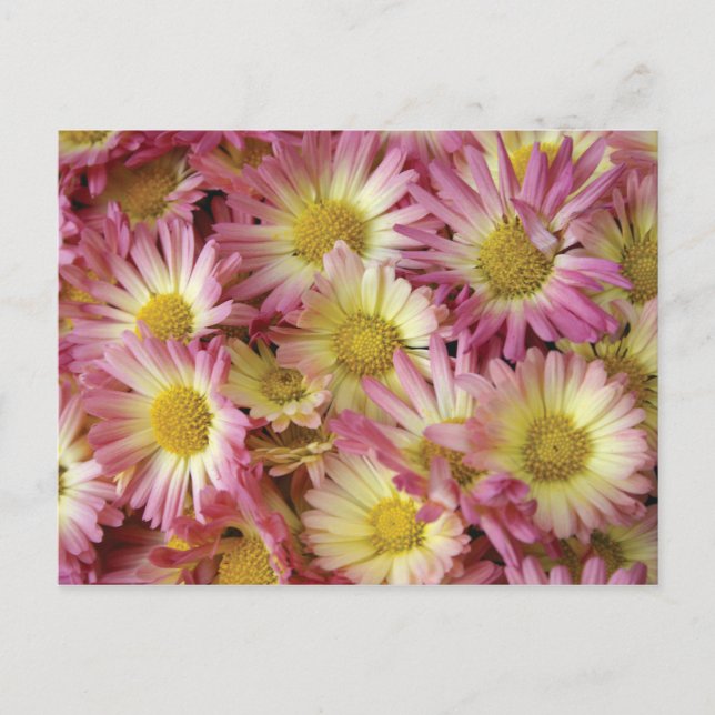 Ma Postkarte (Vorderseite)