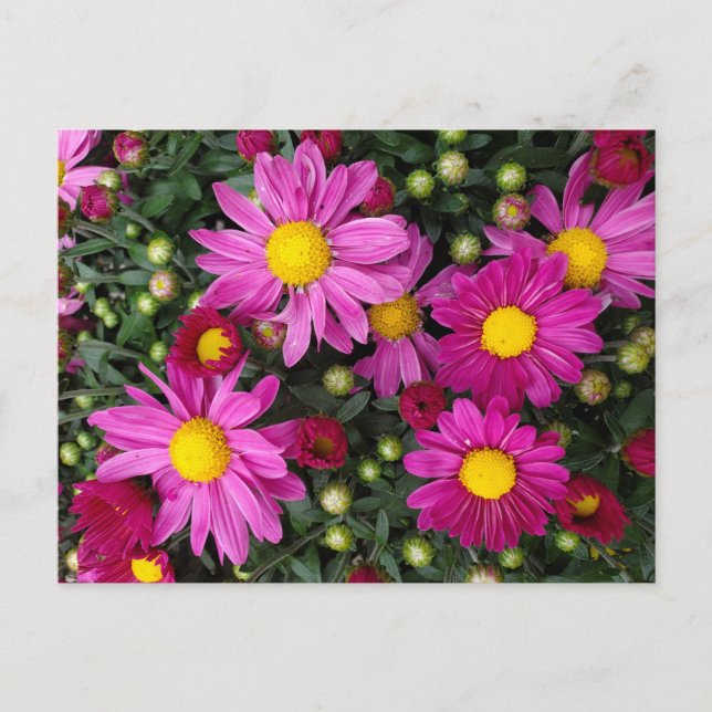 Ma Postkarte (Vorderseite)