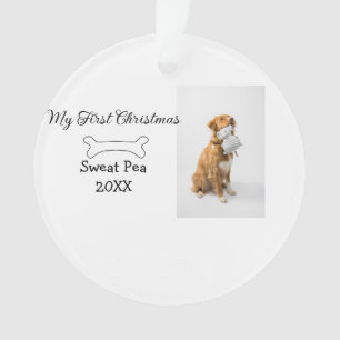 Ma première photo d'animal de Noël nom année os