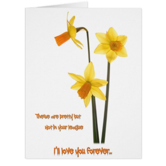 Ma Saint Valentin (Devant)