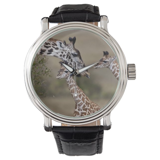 Maasai Giraffe (Giraffe Tippelskirchi) Armbanduhr (Vorderseite)