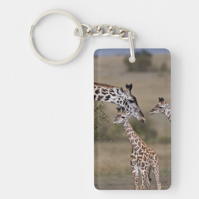 Maasai Giraffe (Giraffe Tippelskirchi) Schlüsselanhänger (Vorderseite)