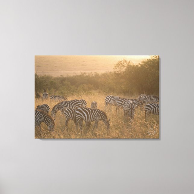 Maasai Morning Zebras Wrapped Canvas Print Leinwanddruck (Vorderseite)