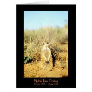 Mabili - carte de légendes