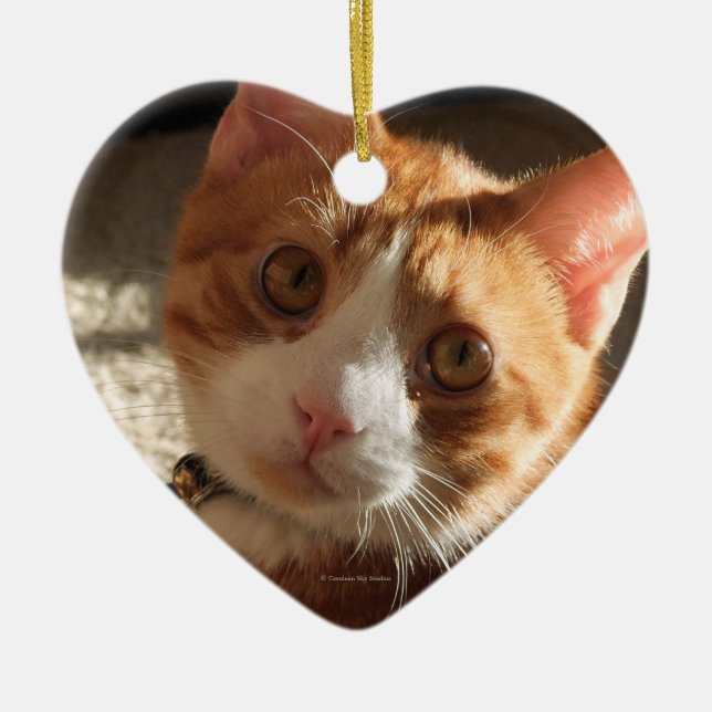 Mac-Katzen-Foto-Herz-Verzierung Keramikornament (Vorne)