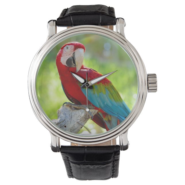 Maca sitzt auf Zweig Armbanduhr (Vorderseite)