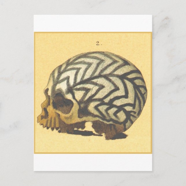Macabre: Skull - Neue Guinea Postkarte (Vorderseite)