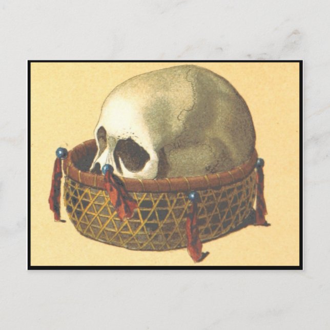 Macabre: Skull - Neue Guinea Postkarte (Vorderseite)