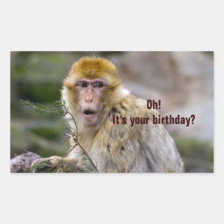 Macaca sylvanus rechteckiger aufkleber