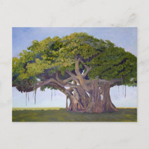 MacArthurs Bantambaum Postkarte