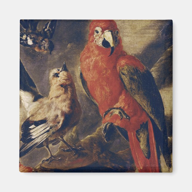 Macau und Bullfinch Magnet (Vorne)