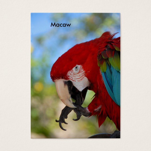 Macaw (Vorderseite)