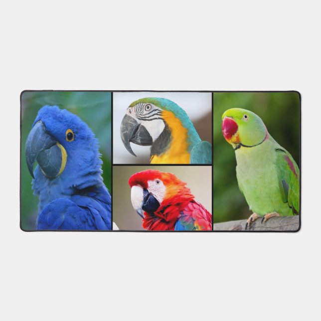 Macaw 4 FotoCollage Custom Monogram Schreibtischunterlage (Vorderseite)