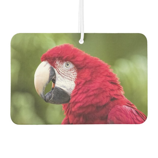 Macaw Air Freshener Autolufterfrischer (Vorderseite)