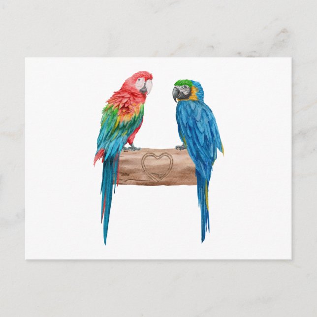 Macaw Bird Parrot Lover Watercolor Einladungspostkarte (Vorderseite)