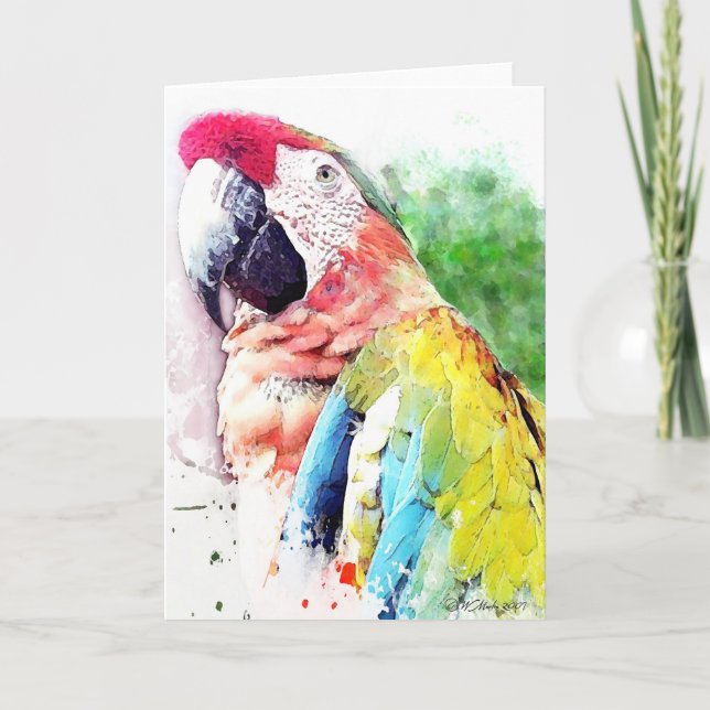 Macaw Blank Grußkarte Karte (Vorderseite)