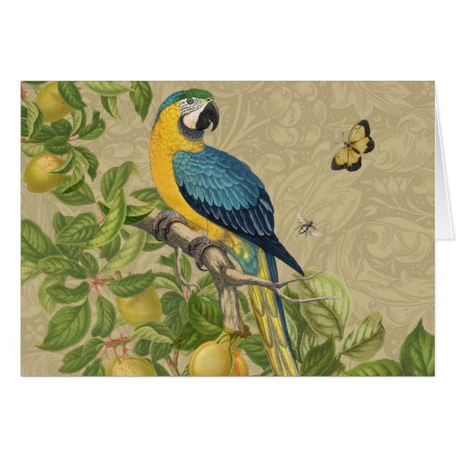 Macaw Blue Jaune Tropical Jungle Antique (Devant horizontal)