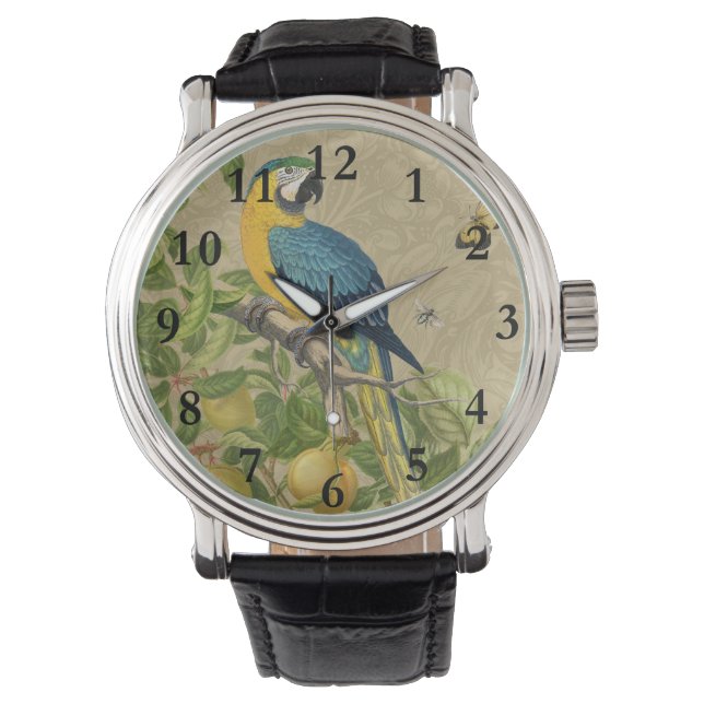 Macaw Blue Yellow Tropical Dschungel Antique Armbanduhr (Vorderseite)