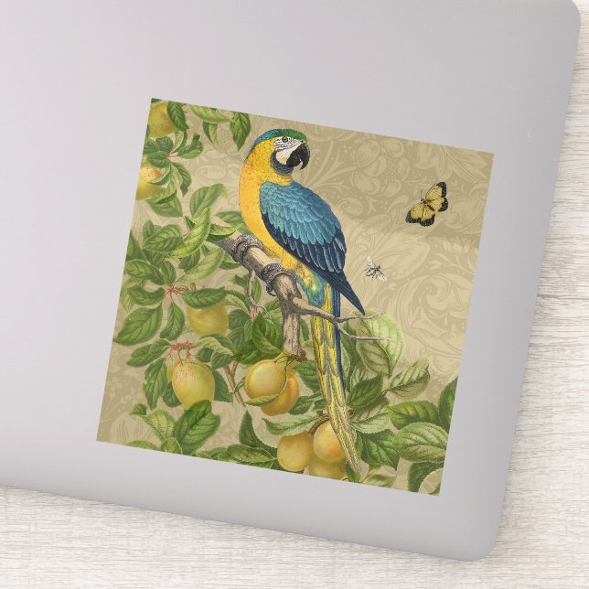 Macaw Blue Yellow Tropical Dschungel Antique Aufkleber (Detail)