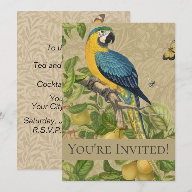 Macaw Blue Yellow Tropical Dschungel Antique Einladung (Vorne/Hinten)