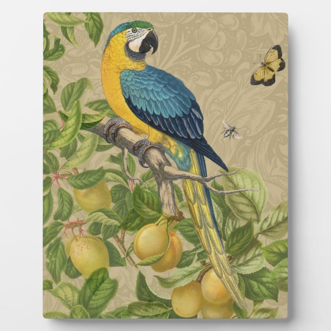 Macaw Blue Yellow Tropical Dschungel Antique Fotoplatte (Vorderseite)