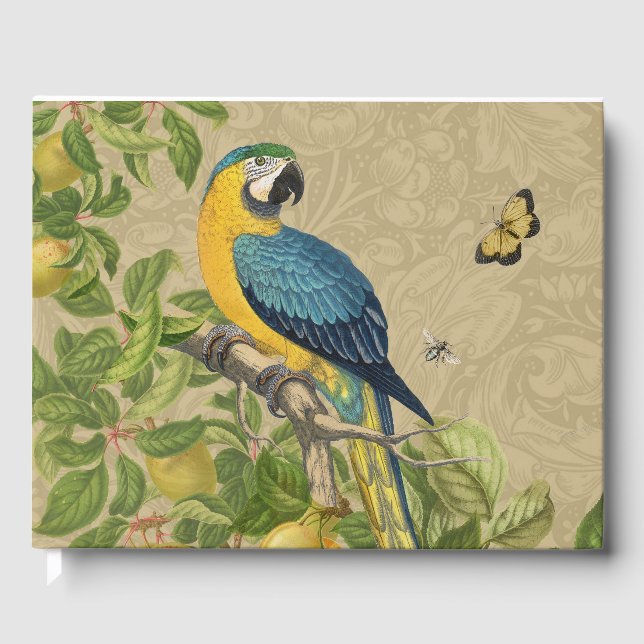 Macaw Blue Yellow Tropical Dschungel Antique Gästebuch (Vorderseite)