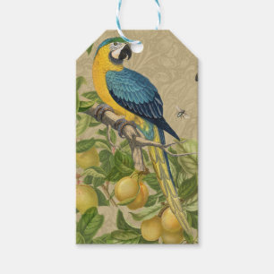 Macaw Blue Yellow Tropical Dschungel Antique Geschenkanhänger