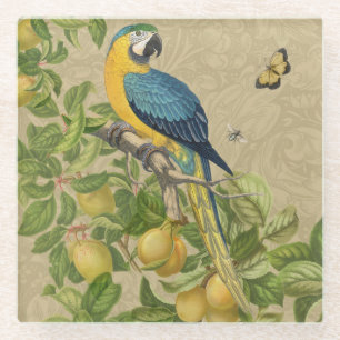 Macaw Blue Yellow Tropical Dschungel Antique Glasuntersetzer