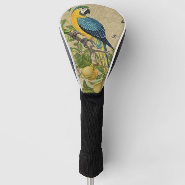 Macaw Blue Yellow Tropical Dschungel Antique Golf Headcover (Vorderseite)