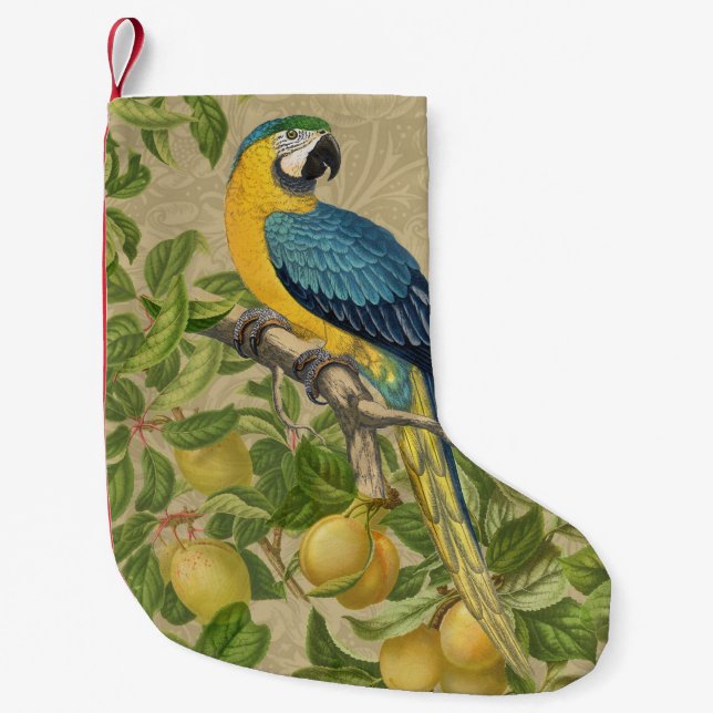 Macaw Blue Yellow Tropical Dschungel Antique Kleiner Weihnachtsstrumpf (Vorderseite)