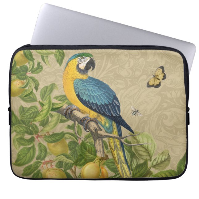 Macaw Blue Yellow Tropical Dschungel Antique Laptopschutzhülle (Vorderseite)
