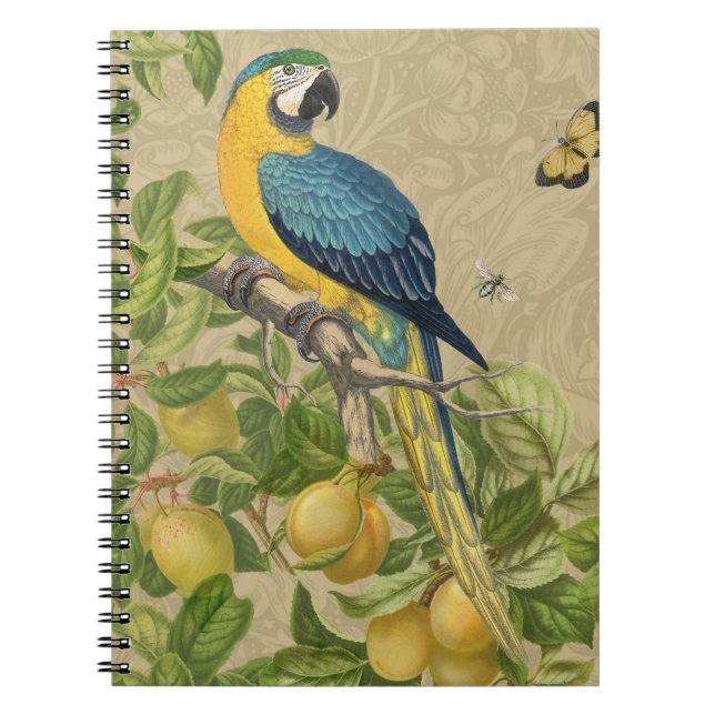 Macaw Blue Yellow Tropical Dschungel Antique Notizblock (Vorderseite)