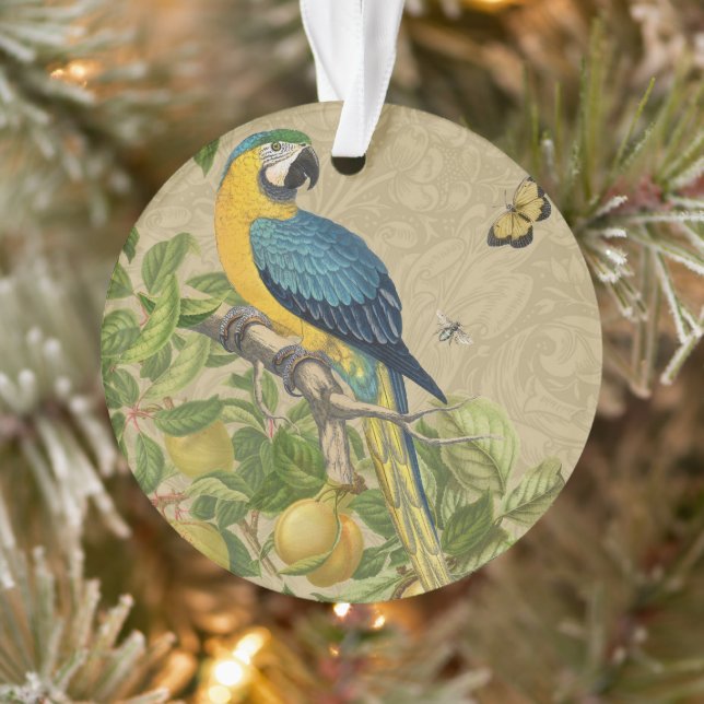 Macaw Blue Yellow Tropical Dschungel Antique Ornament (Baum)