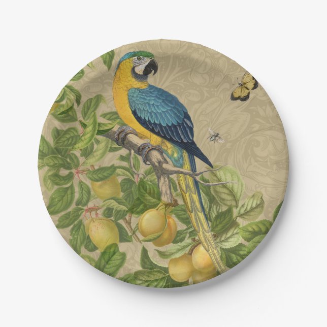 Macaw Blue Yellow Tropical Dschungel Antique Pappteller (Vorderseite)