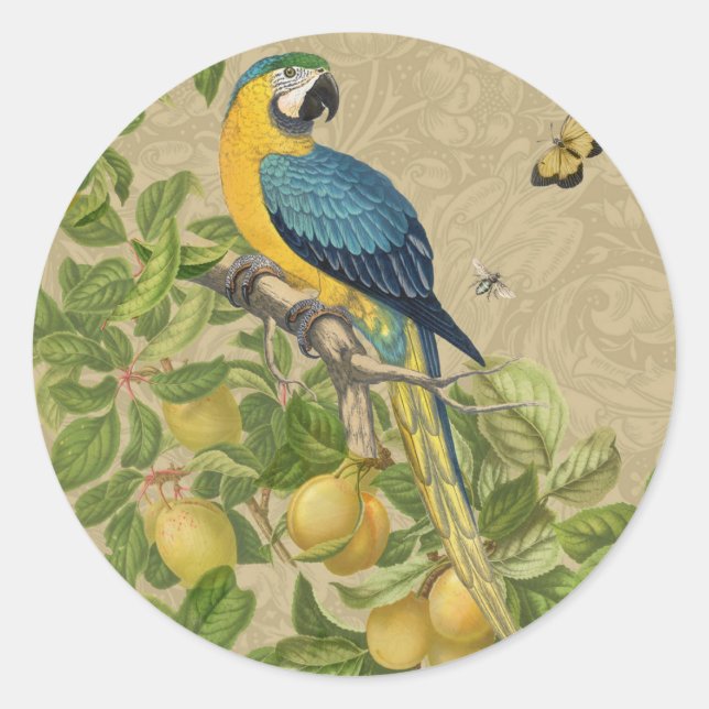 Macaw Blue Yellow Tropical Dschungel Antique Runder Aufkleber (Vorderseite)