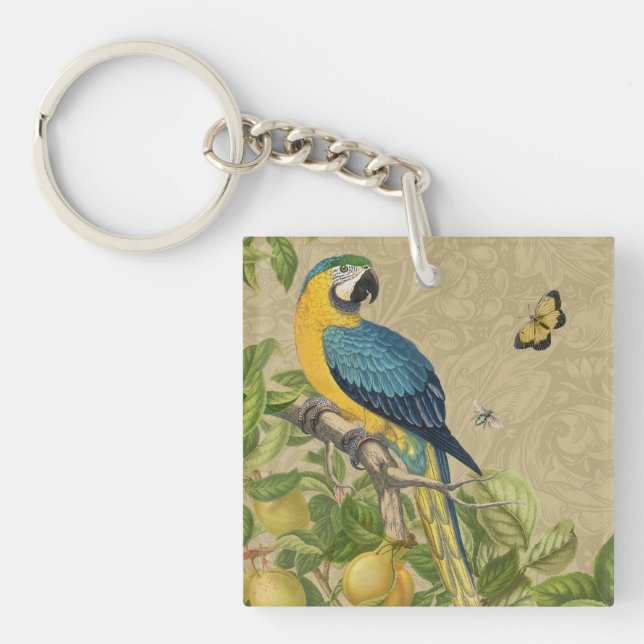 Macaw Blue Yellow Tropical Dschungel Antique Schlüsselanhänger (Vorderseite)
