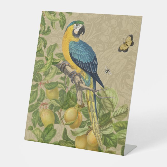 Macaw Blue Yellow Tropical Dschungel Antique Sockelschild (Vorderseite)