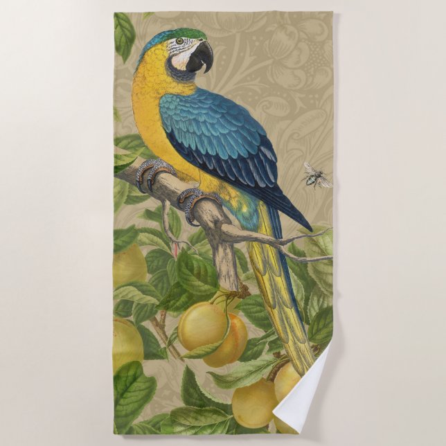 Macaw Blue Yellow Tropical Dschungel Antique Strandtuch (Vorderseite)