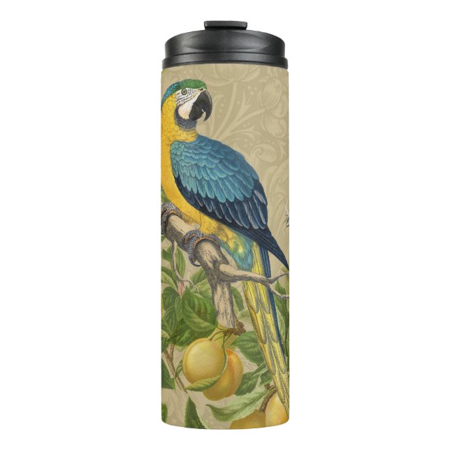 Macaw Blue Yellow Tropical Dschungel Antique Thermosbecher (Vorderseite)