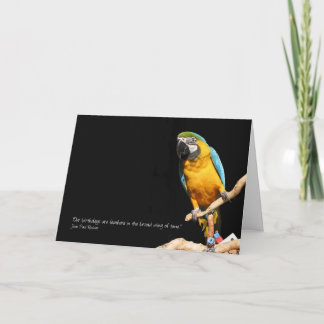 Macaw Card für Jeder Anlass Karte