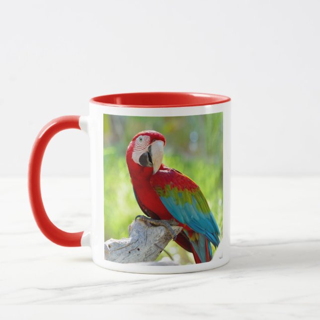 Macaw, der auf Niederlassung sitzt Tasse (Links)