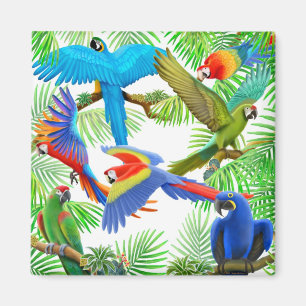 Macaw-Dschungel-Magnet Magnet