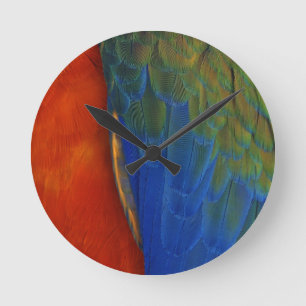 Macaw Feathers Runde Wanduhr