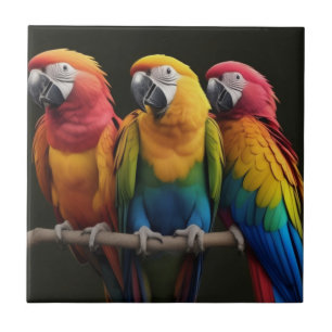 Macaw Fliese