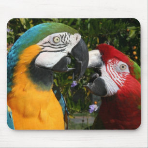 Macaw-Freunde Mousepad