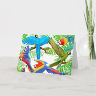 Macaw Jungle Greeting Card Karte