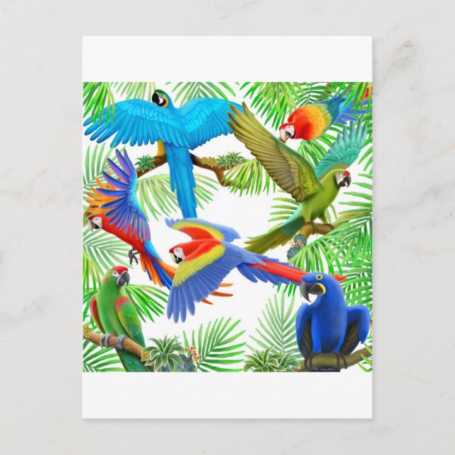Macaw Jungle Postcard Postkarte (Vorderseite)