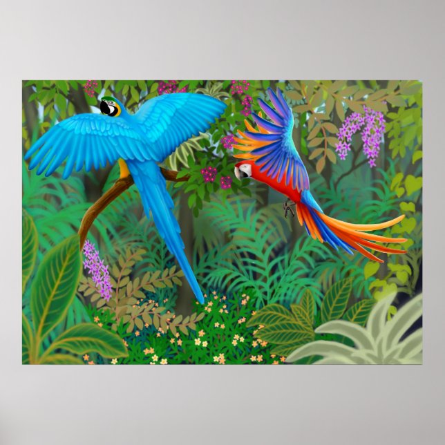 Macaw Jungle Poster (Vorne)