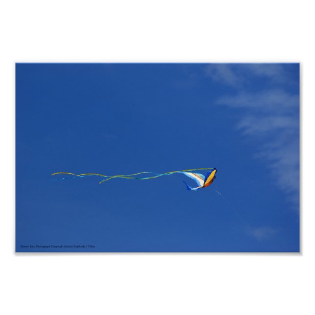 Macaw Kite Fotodruck (Vorne)