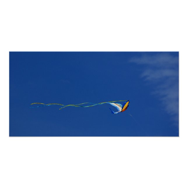 Macaw Kite Poster (Vorderseite)